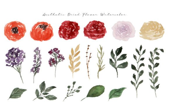 Cute Autumn Dried Flower Watercolor Illustrations for Content Publishers
