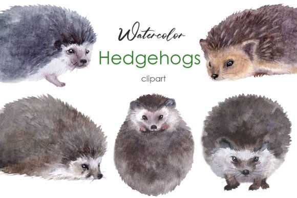 Cute Hedgehog Clipart Meets Embroidery Reality