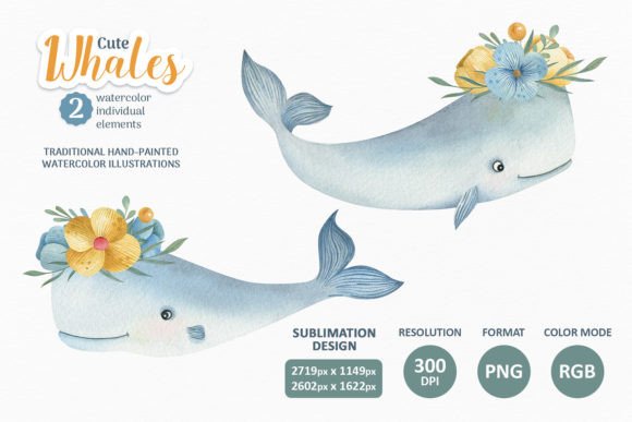 Cute Sea Whales Watercolor Clipart PNG: A Brand Designer’s Review for Real Business Branding