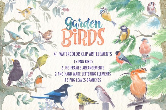 Garden Birds Watercolor Clipart: A Designer’s Real-Use Review