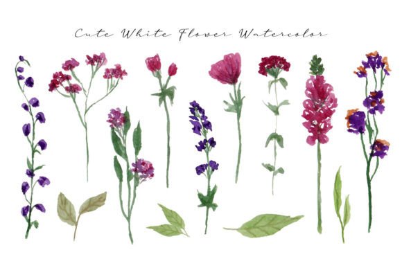 h1Beautiful Wild Flower Watercolor Illustrations for Digital Sellers/h1