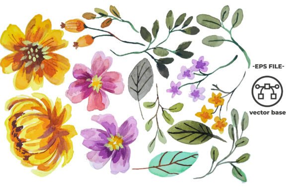 h1Watercolor Flower Illustrations for Branding and Design Projects/h1