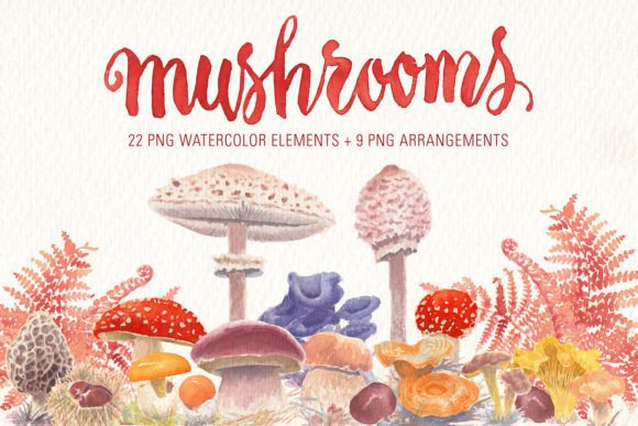 Mushrooms Watercolor Clipart for Crafters & Etsy Sellers