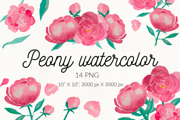 Pink Peony Watercolor Flowers Illustrations for Real Crafting Magic