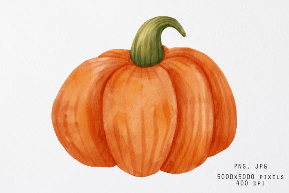Pumpkin in Watercolor Style: A Designer’s Real-World Review