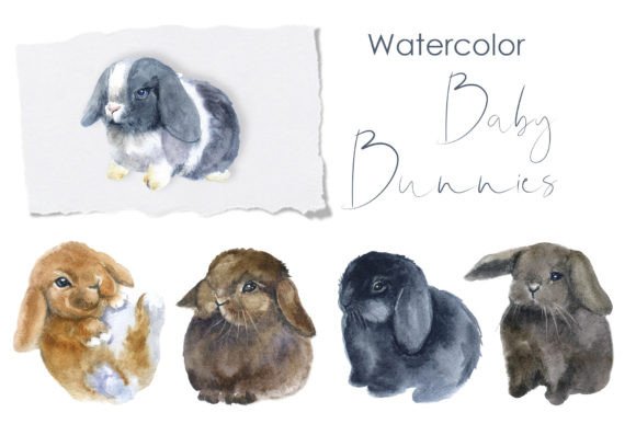 Watercolor Clipart: Baby Easter Bunny Illustrations for Editorial & Web Design