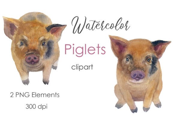 Watercolor Clipart Farm Animal Pig PNG Review