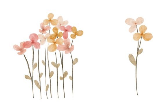 Watercolor Cute Flower Petal Illustrations: A Designer’s Review for Real Client Projects