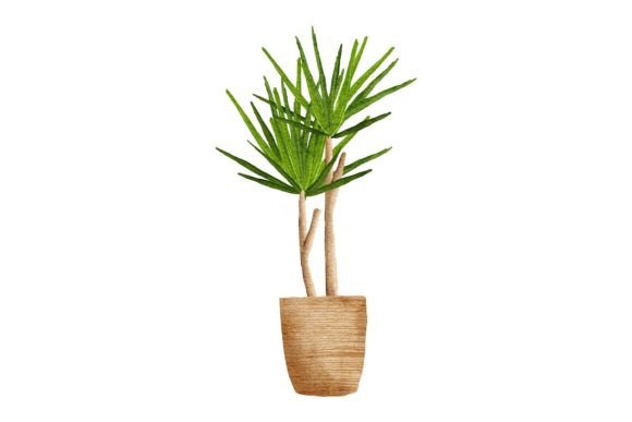 Watercolor Palm with Pot Tropical Plant Illustration: A Fresh Touch for Local Branding