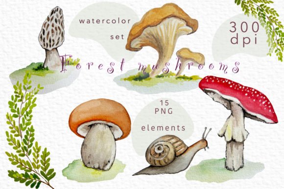 Watercolor Set Forest Mushrooms: A Designer’s Review for Branding & Illustration Projects